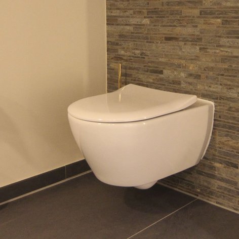 Ein modernes, wandhängendes WC mit einer eleganten, geschwungenen Form und einer stilvollen Steinwand im Hintergrund.
