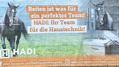 Ein schwarzes Pferd schaut neugierig aus einem Fenster, während im Vordergrund ein modernes Waschbecken zu sehen ist.